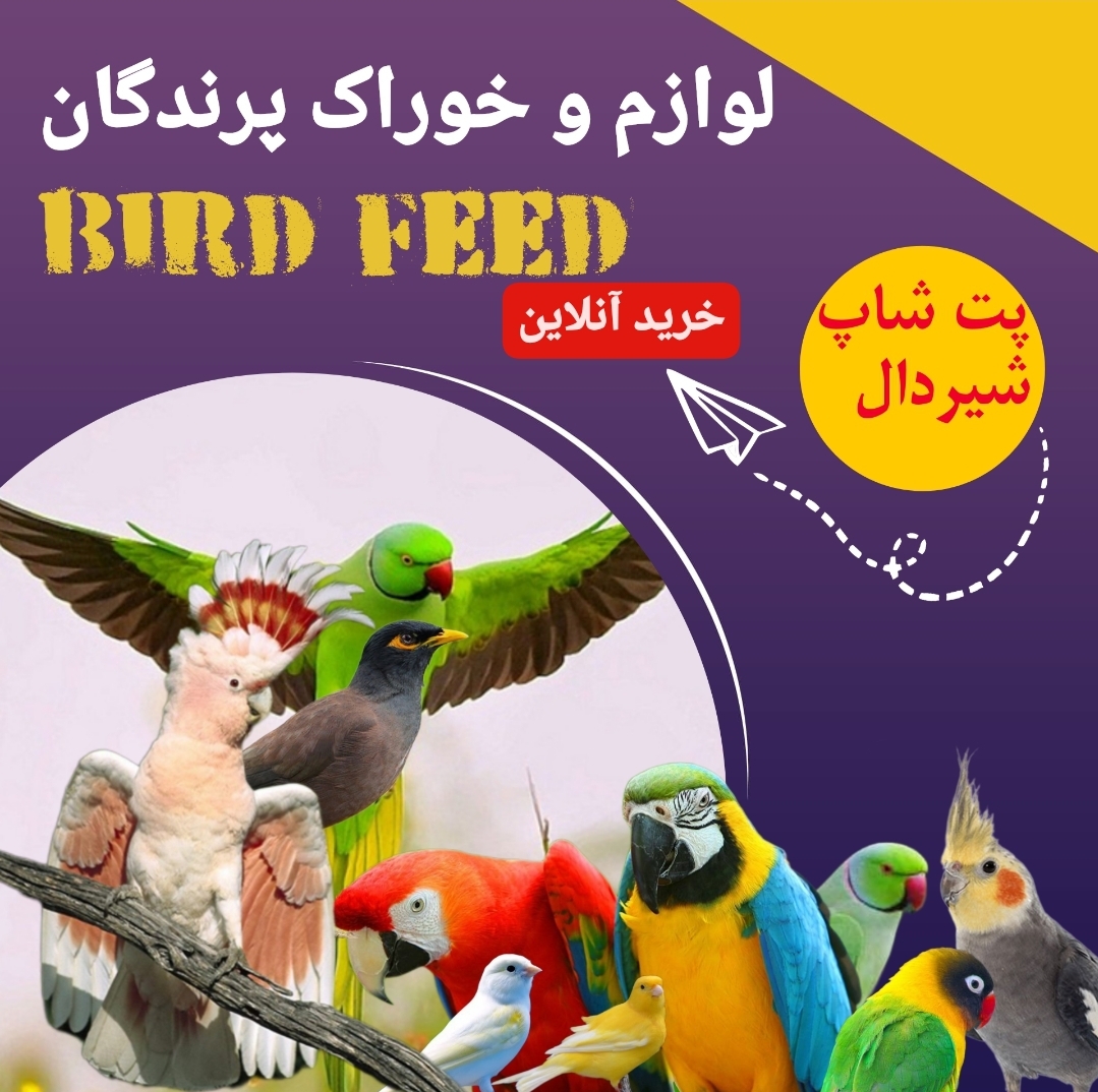 لوازم و خوراک پرندگان زینتی