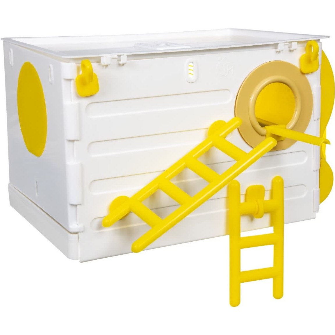 آشیانه عروس هلندی جاوا